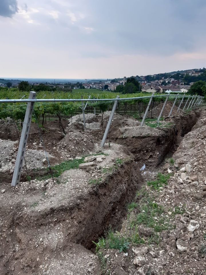 Archaeologists Find Roman Mosaic of 1st Century A.D. under Valpolicella’s Vineyards