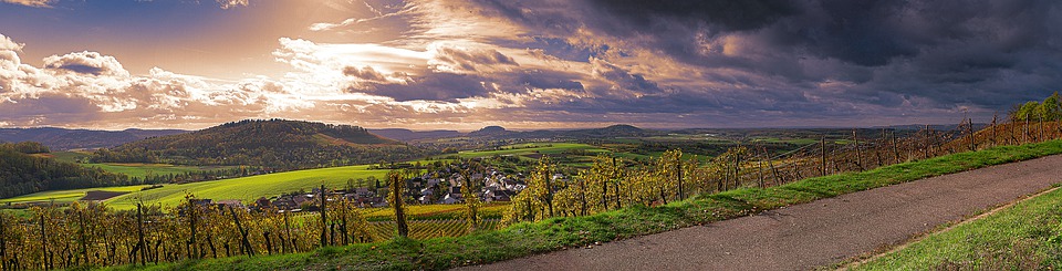 Violent downburst breaks Valpolicella vineyards