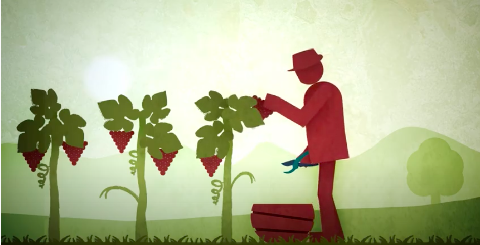 FIVI, a new video explains the philosophy behind the Italian Independent Winegrowers Federation